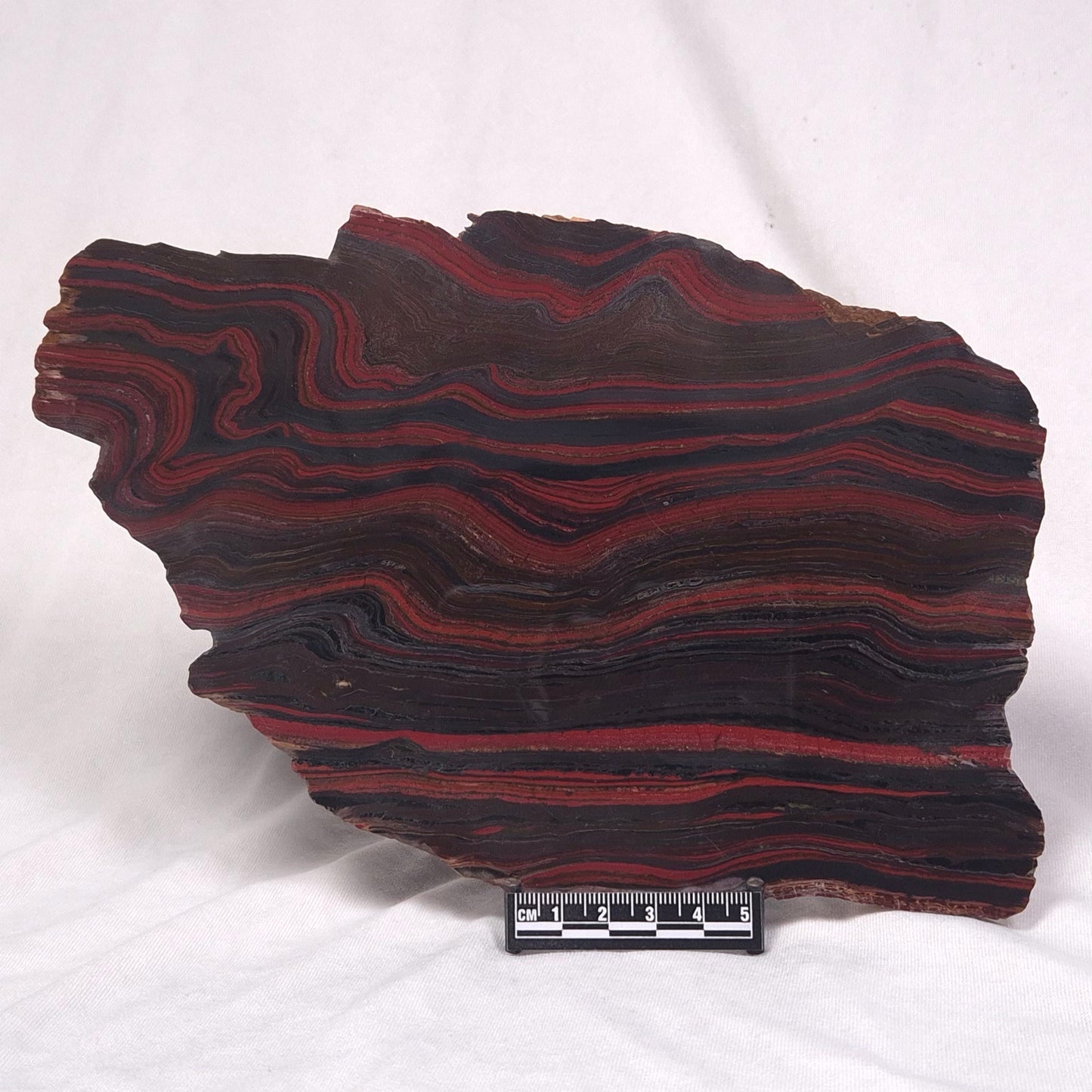 BANDED TIGER IRON MICROBIALITE, Archean, Australia ZBI039
