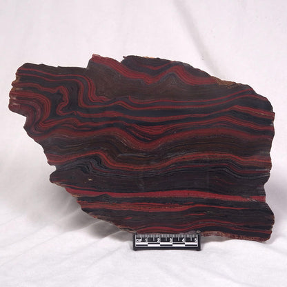 BANDED TIGER IRON MICROBIALITE, Archean, Australia ZBI039