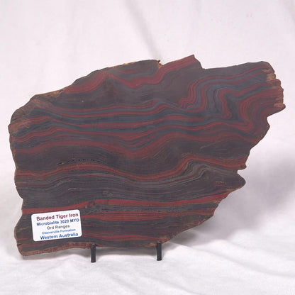 BANDED TIGER IRON MICROBIALITE, Archean, Australia ZBI039
