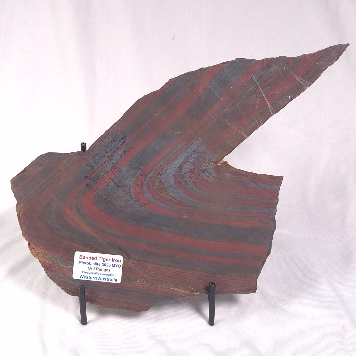 BANDED TIGER IRON MICROBIALITE, Archean, Australia ZBI041