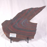 BANDED TIGER IRON MICROBIALITE, Archean, Australia ZBI041