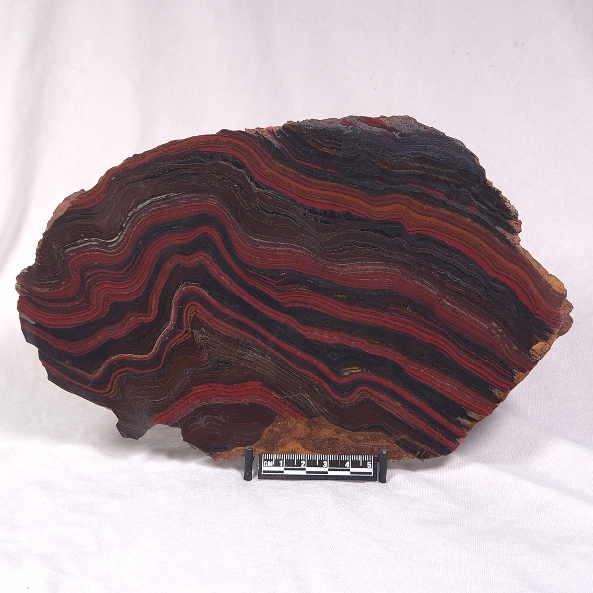 BANDED TIGER IRON MICROBIALITE, Archean, Australia ZBI042