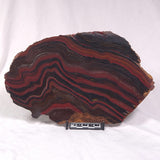 BANDED TIGER IRON MICROBIALITE, Archean, Australia ZBI042
