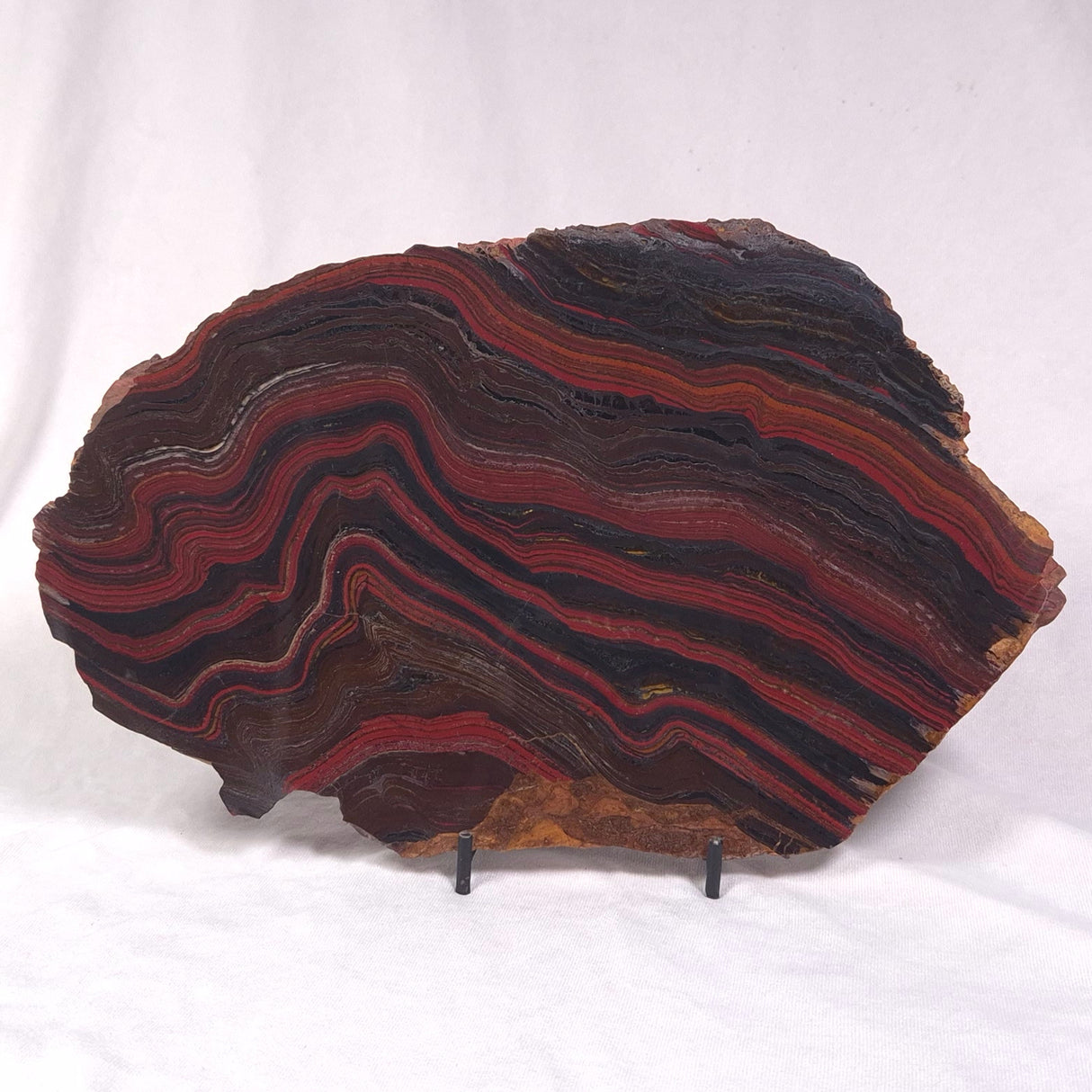 BANDED TIGER IRON MICROBIALITE, Archean, Australia ZBI042