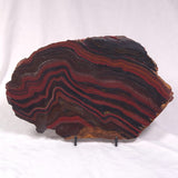 BANDED TIGER IRON MICROBIALITE, Archean, Australia ZBI042