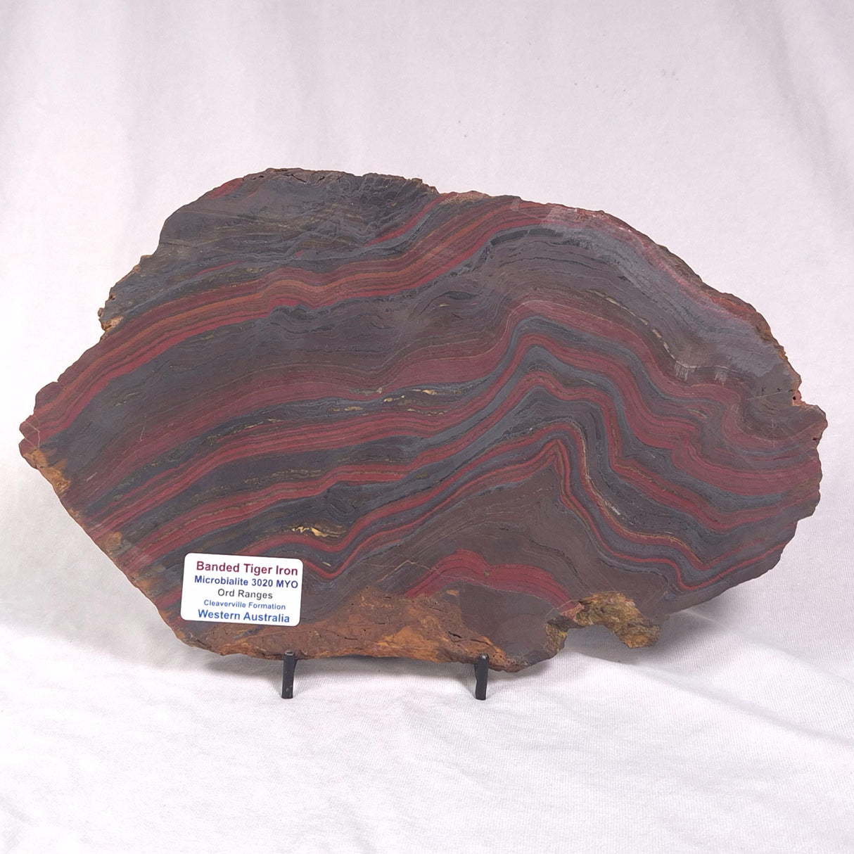 BANDED TIGER IRON MICROBIALITE, Archean, Australia ZBI042