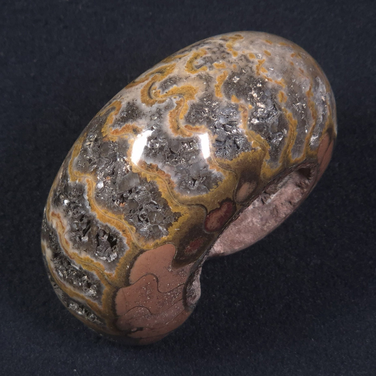 AMMONITE, East Timor XAT013