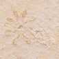 FLOATING CRINOID FOSSIL SACCOCOMA PECTINATA, Jurassic, Germany XFC002