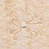 FLOATING CRINOID FOSSIL SACCOCOMA PECTINATA, Jurassic, Germany XFC007