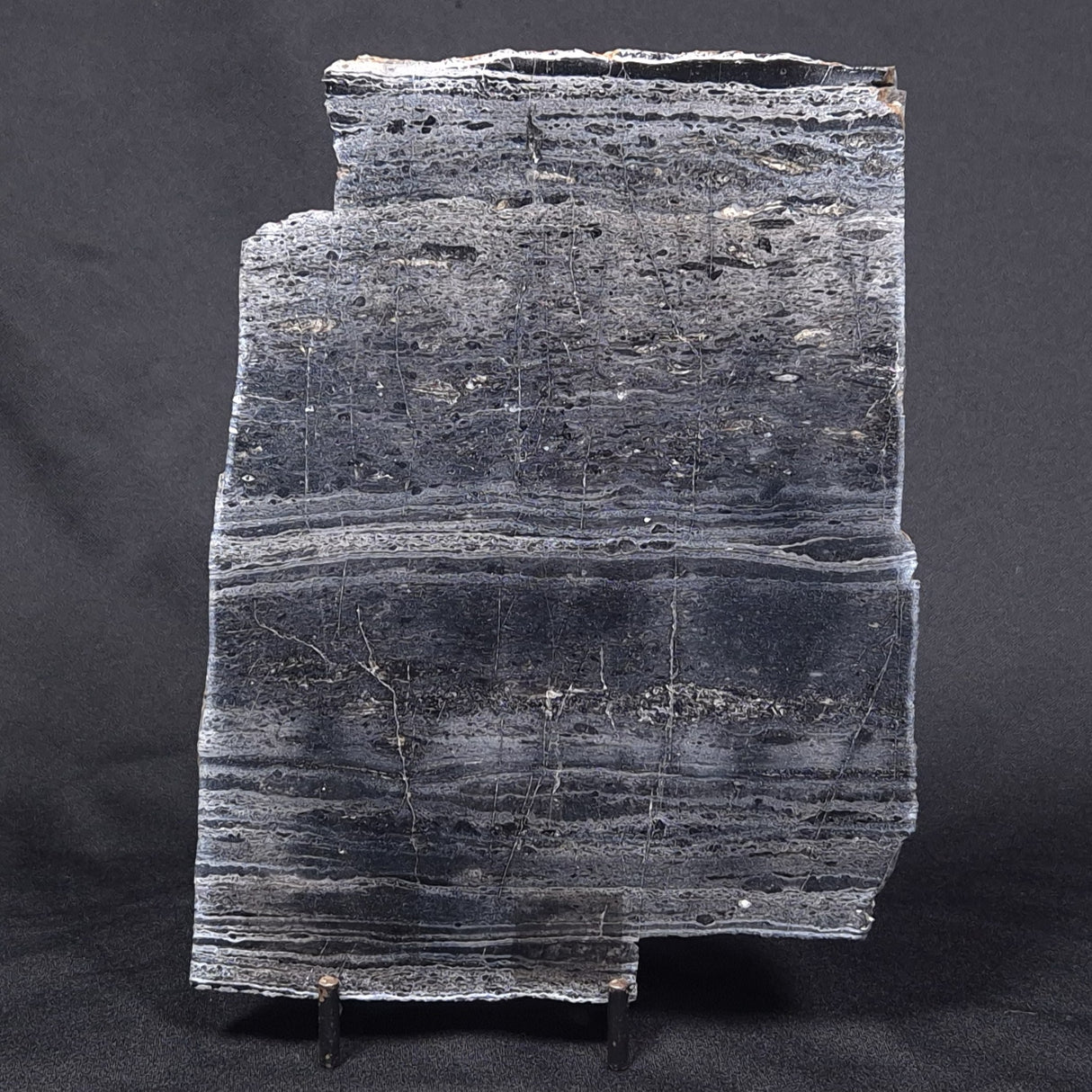 ALCHERINGA NARRINA STROMATOLITE, Late Archean, Australia ZAN001