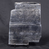 ALCHERINGA NARRINA STROMATOLITE, Late Archean, Australia ZAN001