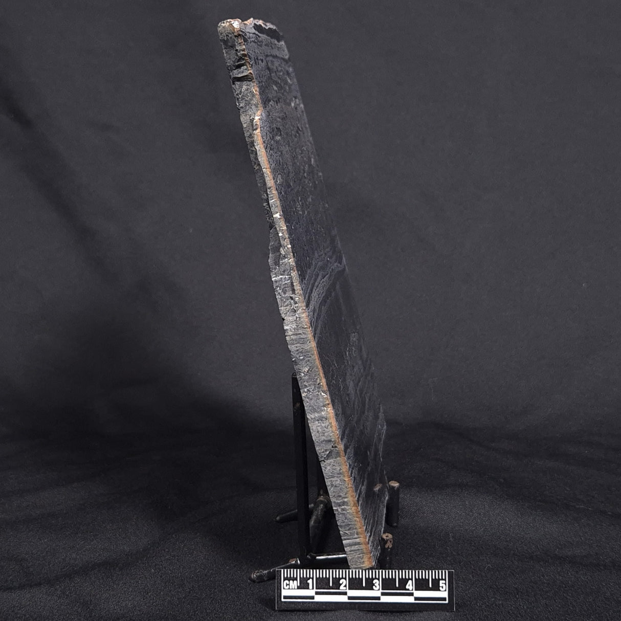 ALCHERINGA NARRINA STROMATOLITE, Late Archean, Australia ZAN001