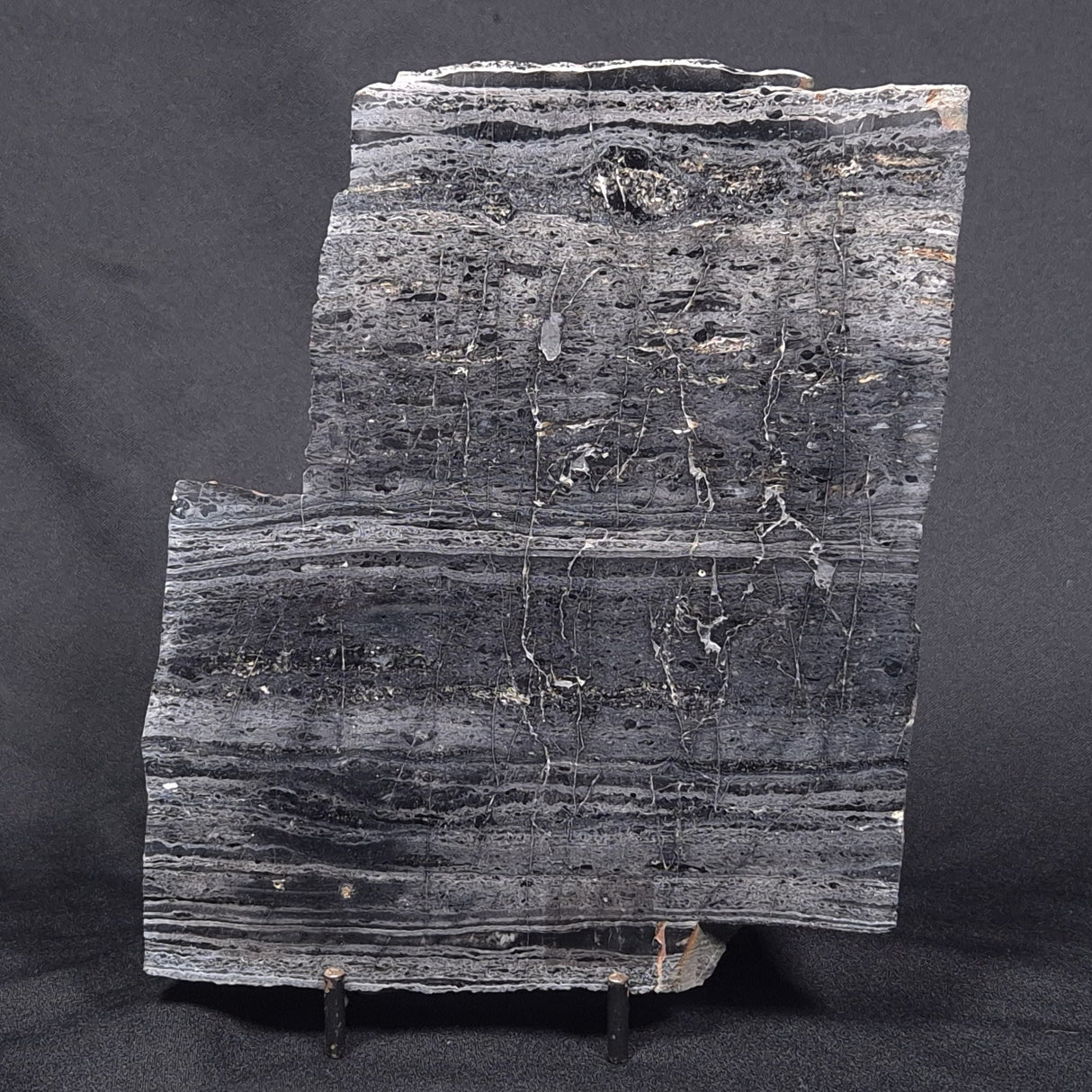 ALCHERINGA NARRINA STROMATOLITE, Late Archean, Australia ZAN002