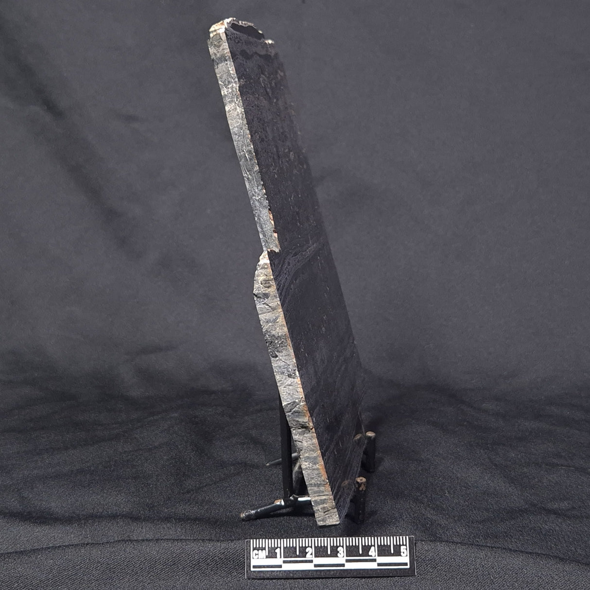 ALCHERINGA NARRINA STROMATOLITE, Late Archean, Australia ZAN002