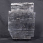 ALCHERINGA NARRINA STROMATOLITE, Late Archean, Australia ZAN004