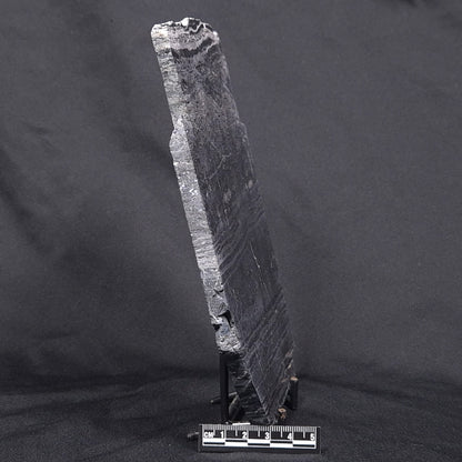 ALCHERINGA NARRINA STROMATOLITE, Late Archean, Australia ZAN004