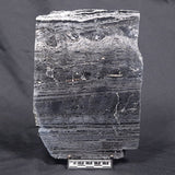 ALCHERINGA NARRINA STROMATOLITE, Late Archean, Australia ZAN005