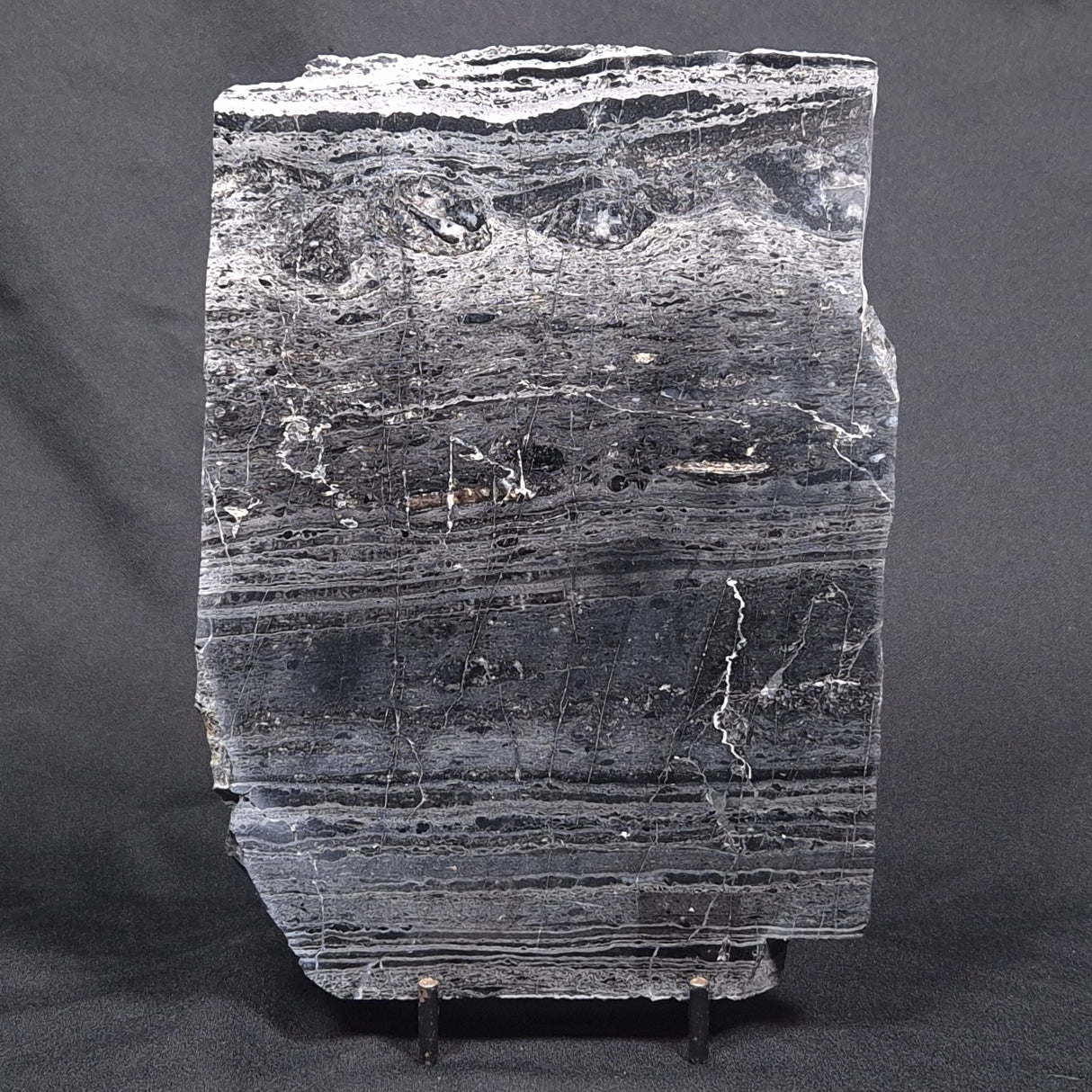 ALCHERINGA NARRINA STROMATOLITE, Late Archean, Australia ZAN005