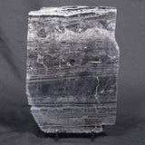 ALCHERINGA NARRINA STROMATOLITE, Late Archean, Australia ZAN005