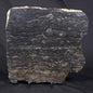 ALCHERINGA NARRINA STROMATOLITE, Late Archean, Australia ZAN007