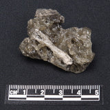 DARWIN GLASS IMPACTITE, Impact Melt, Australia YDG013