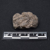 DARWIN GLASS IMPACTITE, Impact Melt, Australia YDG016