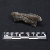 DARWIN GLASS IMPACTITE, Impact Melt, Australia YDG017