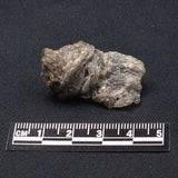 DARWIN GLASS IMPACTITE, Impact Melt, Australia YDG022