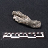 DARWIN GLASS IMPACTITE, Impact Melt, Australia YDG024