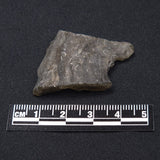DARWIN GLASS IMPACTITE, Impact Melt, Australia YDG026