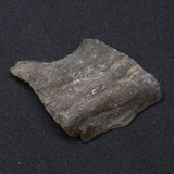 DARWIN GLASS IMPACTITE, Impact Melt, Australia YDG026