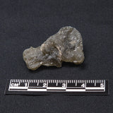 DARWIN GLASS INPACTITE, Impact Melt, Australia YDG027