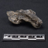 DARWIN GLASS INPACTITE, Impact Melt, Australia YDG028