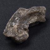 DARWIN GLASS INPACTITE, Impact Melt, Australia YDG028