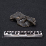 DARWIN GLASS IMPACTITE, Impact Melt, Australia YDG029