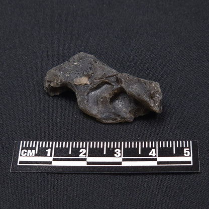 DARWIN GLASS INPACTITE, Impact Melt, Australia YDG029