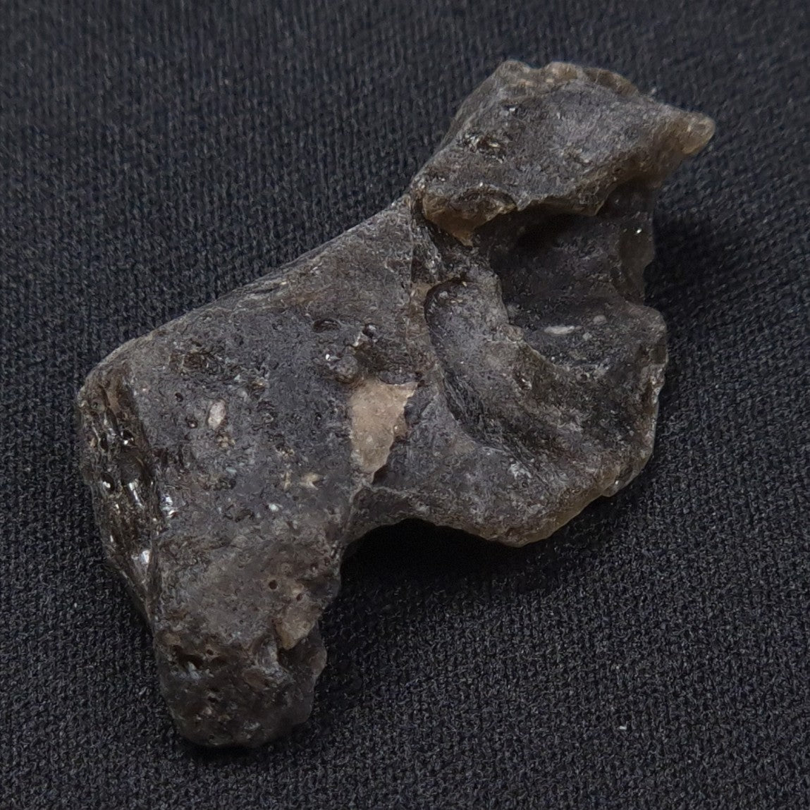 DARWIN GLASS IMPACTITE, Impact Melt, Australia YDG029