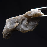 DARWIN GLASS IMPACTITE, Impact Melt, Australia YDG029