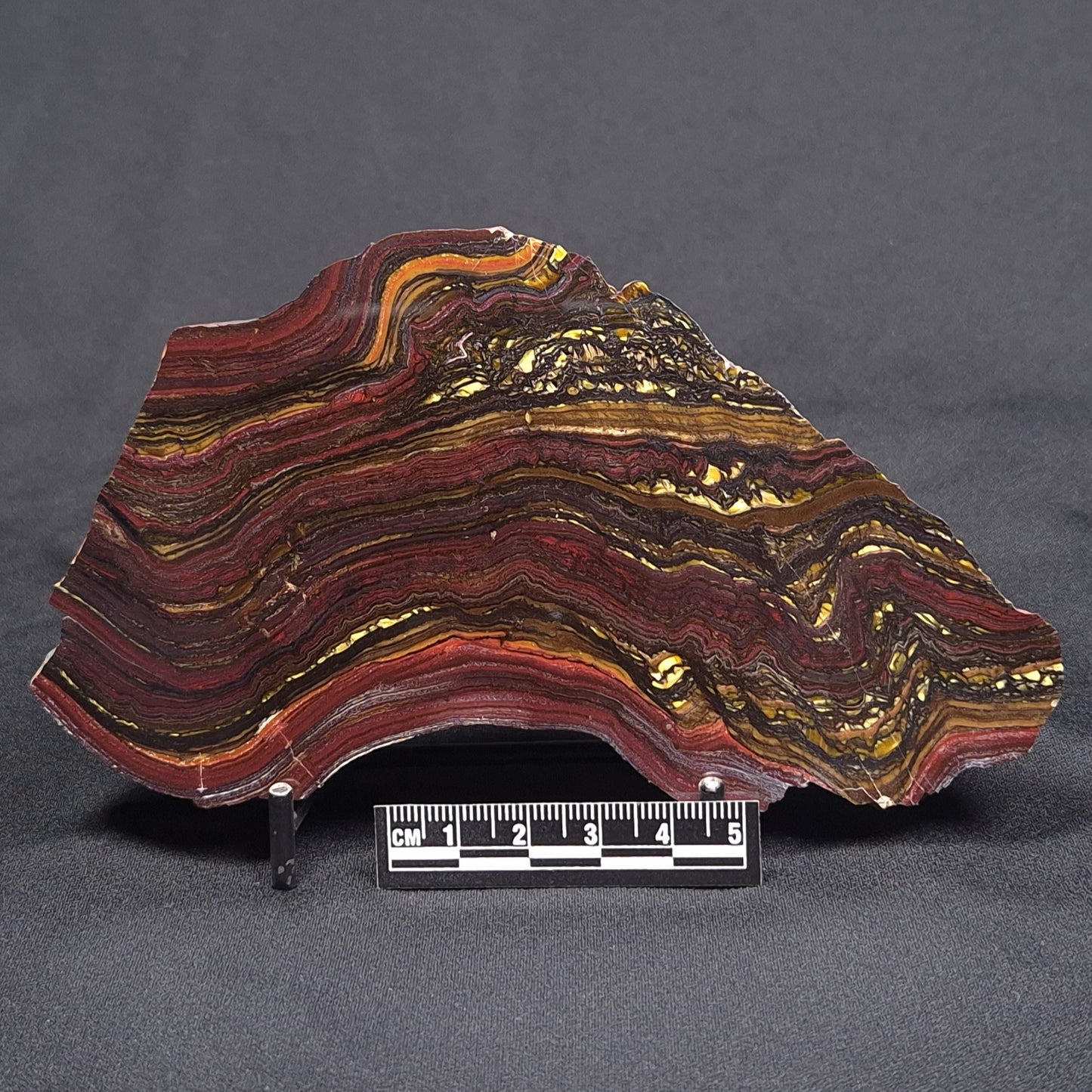 BANDED TIGER IRON MICROBIALITE, Archean, Australia ZBI045