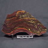 BANDED TIGER IRON MICROBIALITE, Archean, Australia ZBI045