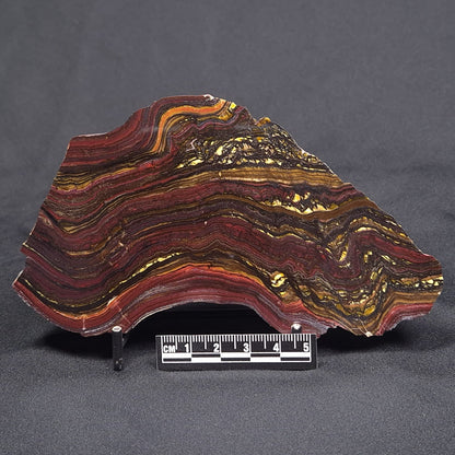 BANDED TIGER IRON MICROBIALITE, Archean, Australia ZBI045