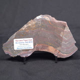BANDED TIGER IRON MICROBIALITE, Archean, Australia ZBI045
