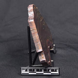 BANDED TIGER IRON MICROBIALITE, Archean, Australia ZBI045