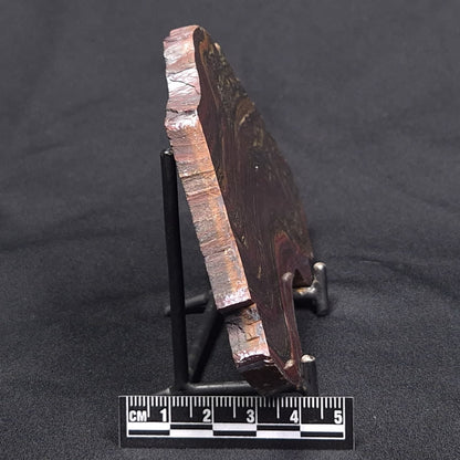 BANDED TIGER IRON MICROBIALITE, Archean, Australia ZBI045