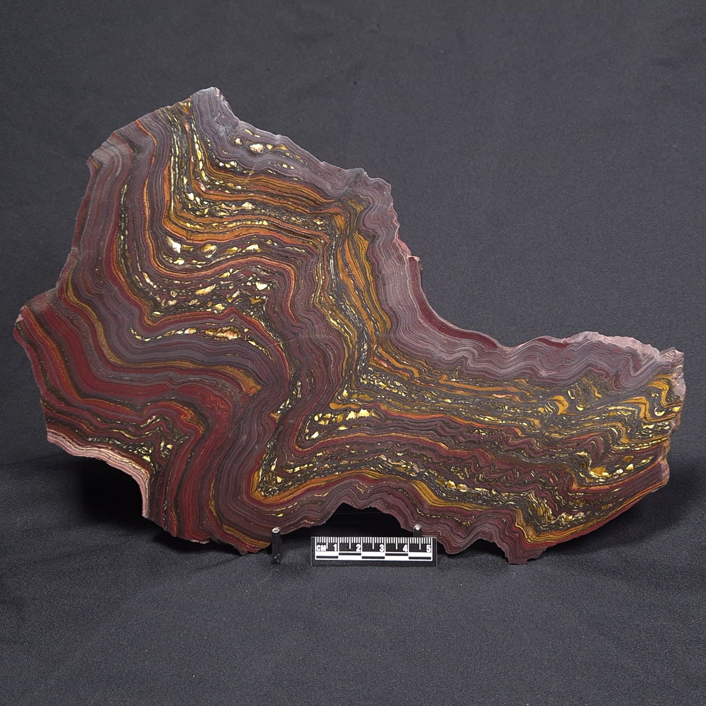 BANDED TIGER IRON MICROBIALITE, Archean, Australia ZBI048