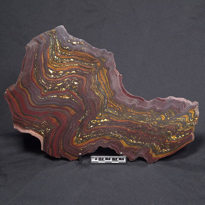 BANDED TIGER IRON MICROBIALITE, Archean, Australia ZBI048