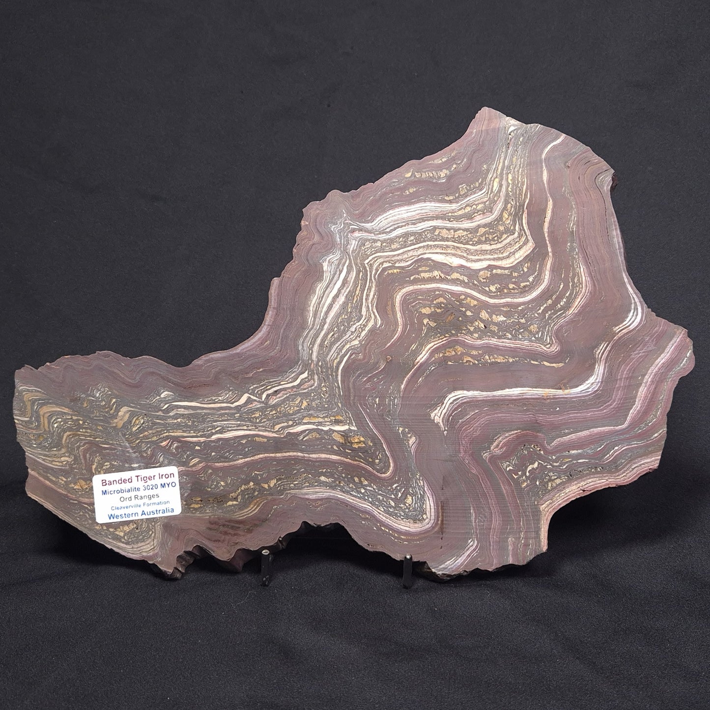 BANDED TIGER IRON MICROBIALITE, Archean, Australia ZBI048