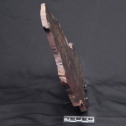 BANDED TIGER IRON MICROBIALITE, Archean, Australia ZBI048