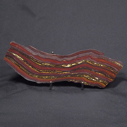 BANDED TIGER IRON MICROBIALITE, Archean, Australia ZBI049