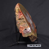 POLISHED AGATE, Agate Creek, Australia YAC004
